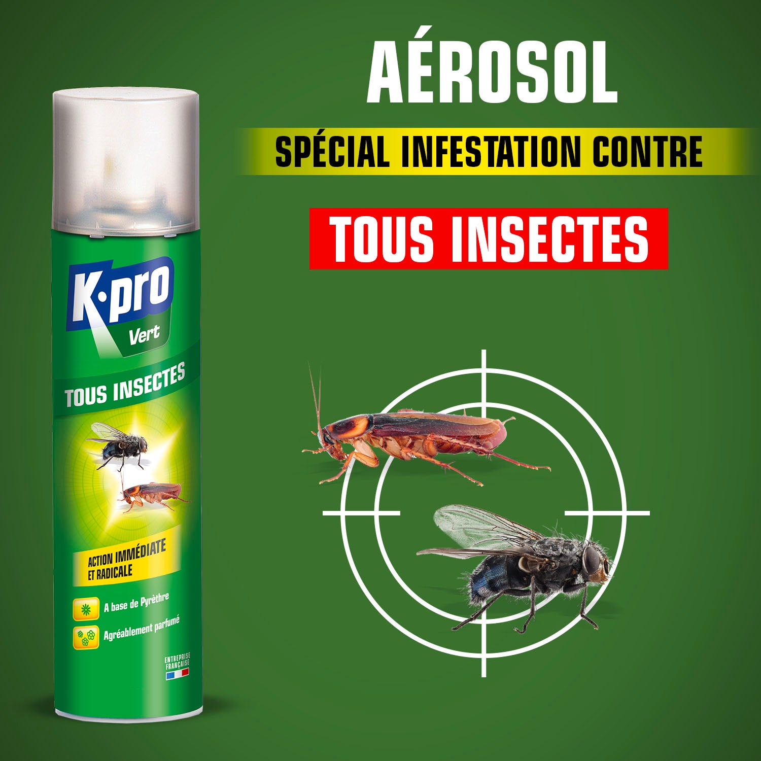 K.PRO - Aérosol tous insectes K.PRO 300ml