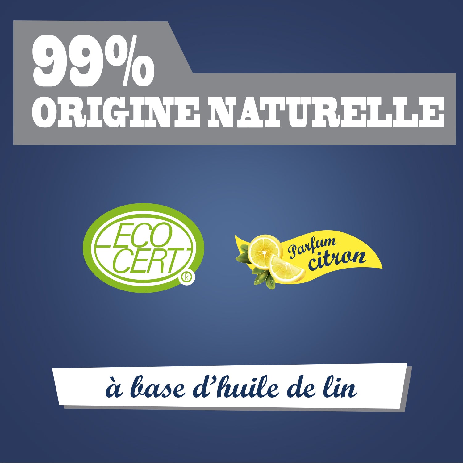 JACQUES BRIOCHIN - Savon noir prêt à l'emploi parfum citron frais 750ml Citron