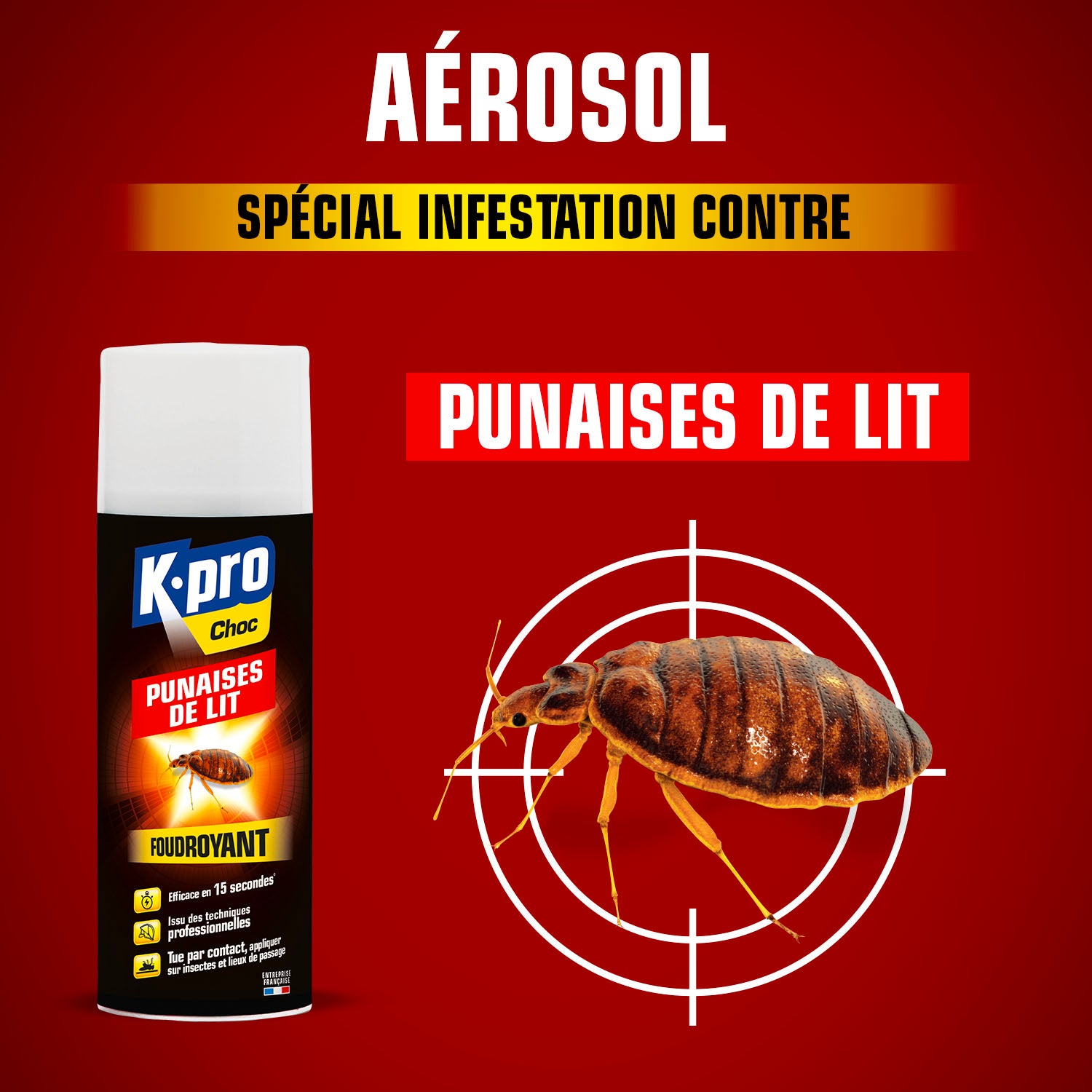 K.PRO - Aérosol foudroyant punaises de lit
400ml