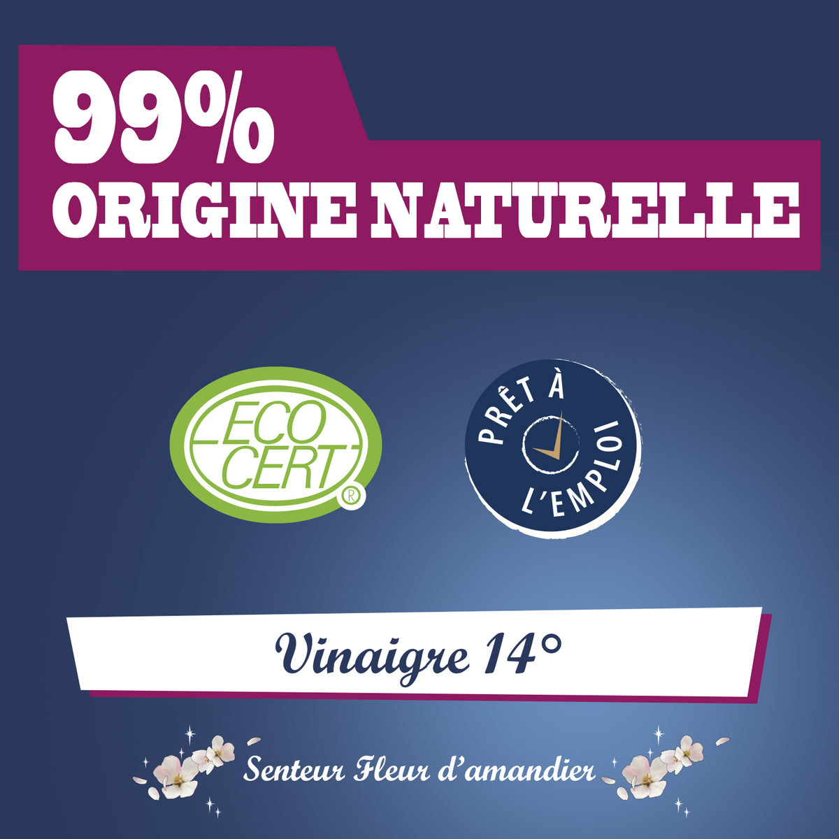 JACQUES BRIOCHIN - Vinaigre parfumé parfum fleur d'amandier 1L Parfum fleur d'amandier