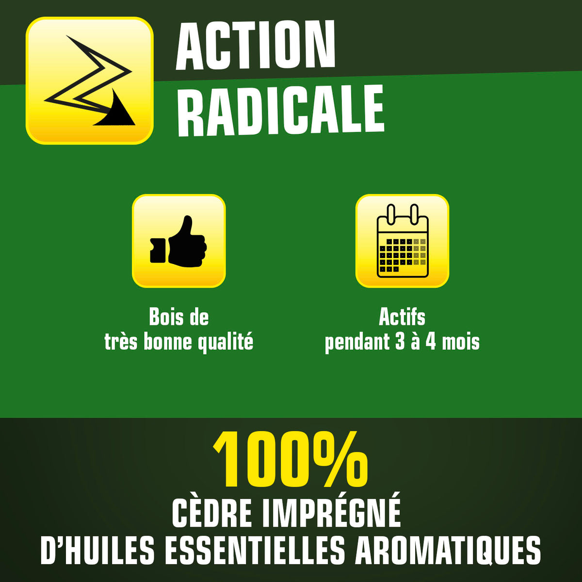 K.PRO - Cintres au bois de cèdre X2