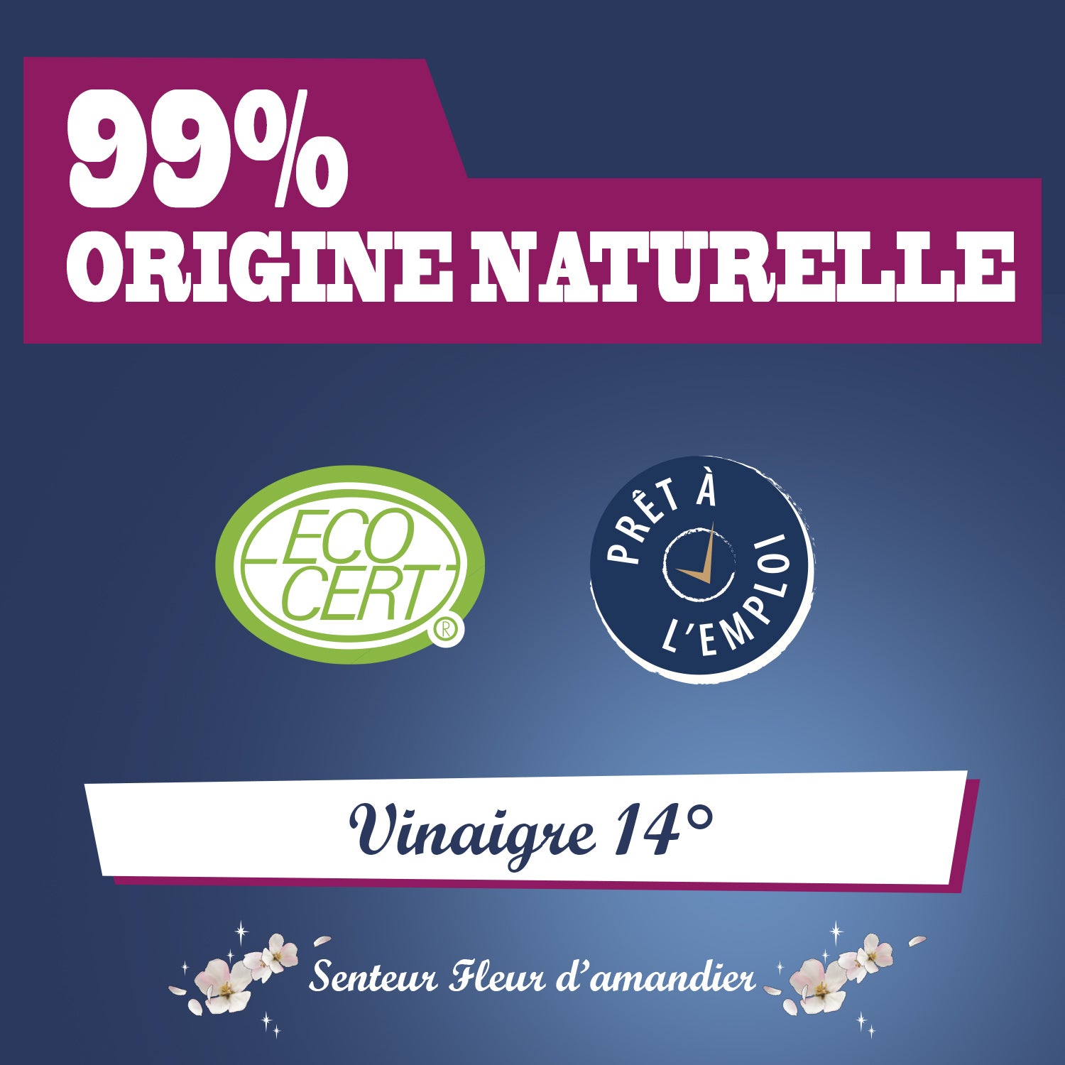 JACQUES BRIOCHIN - Vinaigre parfumé parfum fleur d'amandier 1L Parfum fleur d'amandier