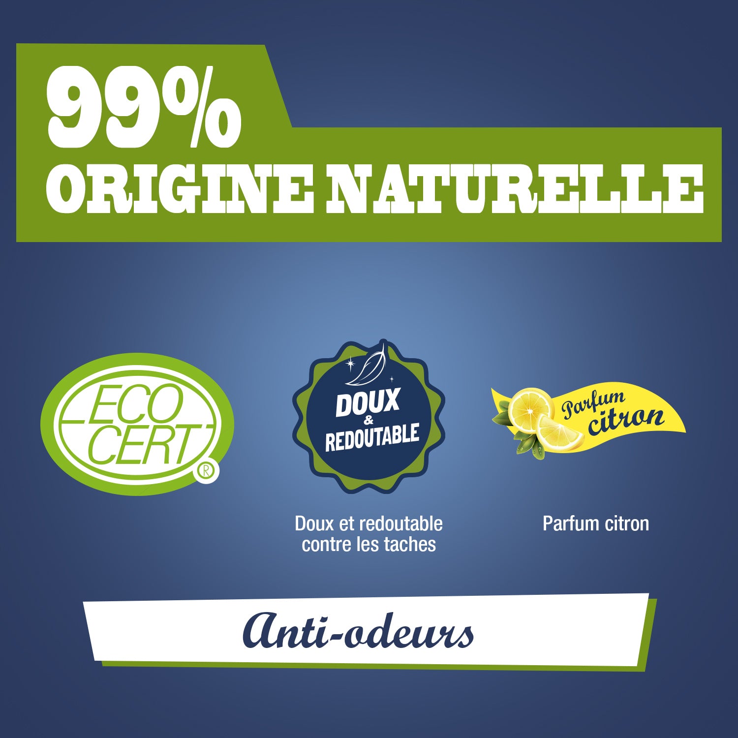 JACQUES BRIOCHIN - Le Nettoie-tout Cuisine 750ml Citron / Cyprès