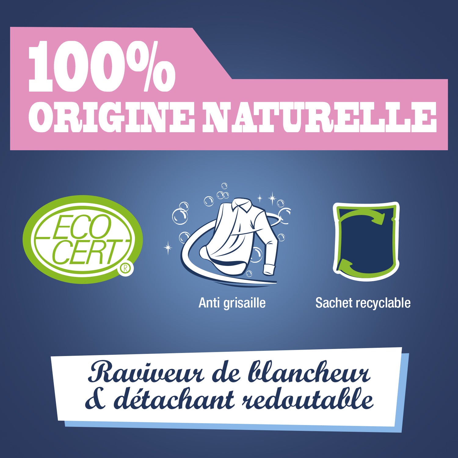 JACQUES BRIOCHIN - La poudre au percarbonate de soude 900g 900g