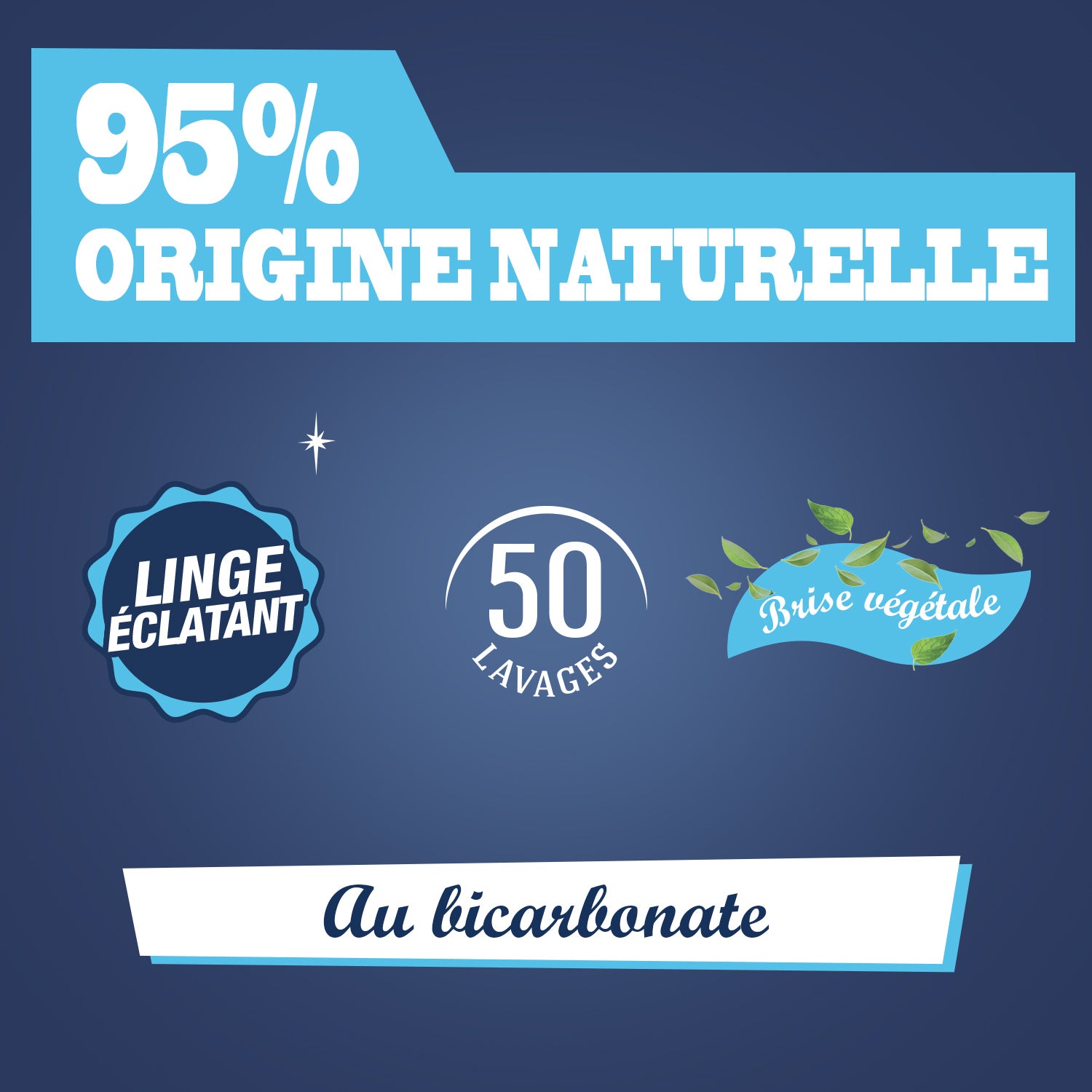 JACQUES BRIOCHIN - Ma Lessive au Bicarbonate – Brise Végétale 2,27l Brise Végétale