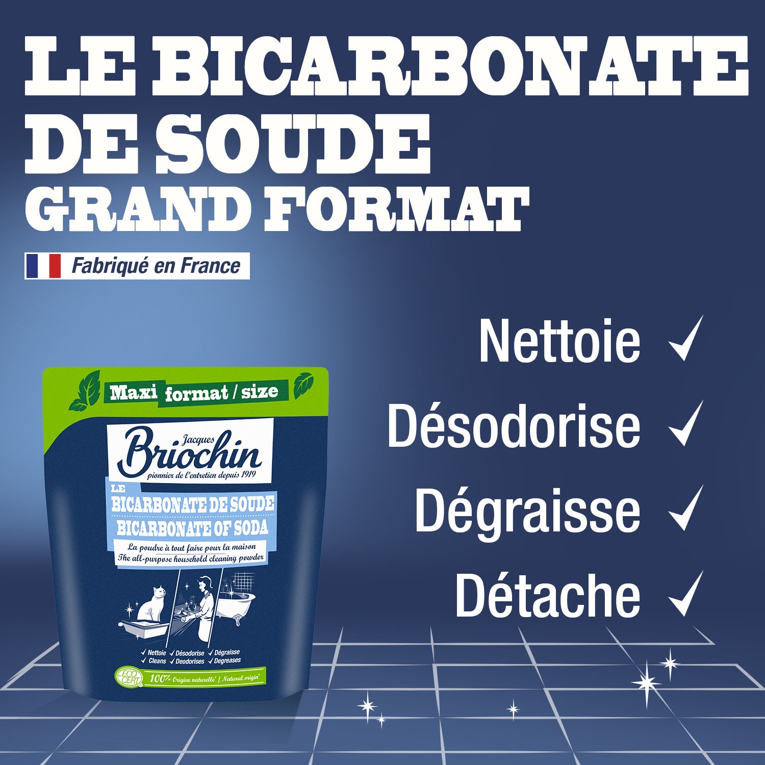 JACQUES BRIOCHIN - Le Bicarbonate de soude grand format - 900g 900g