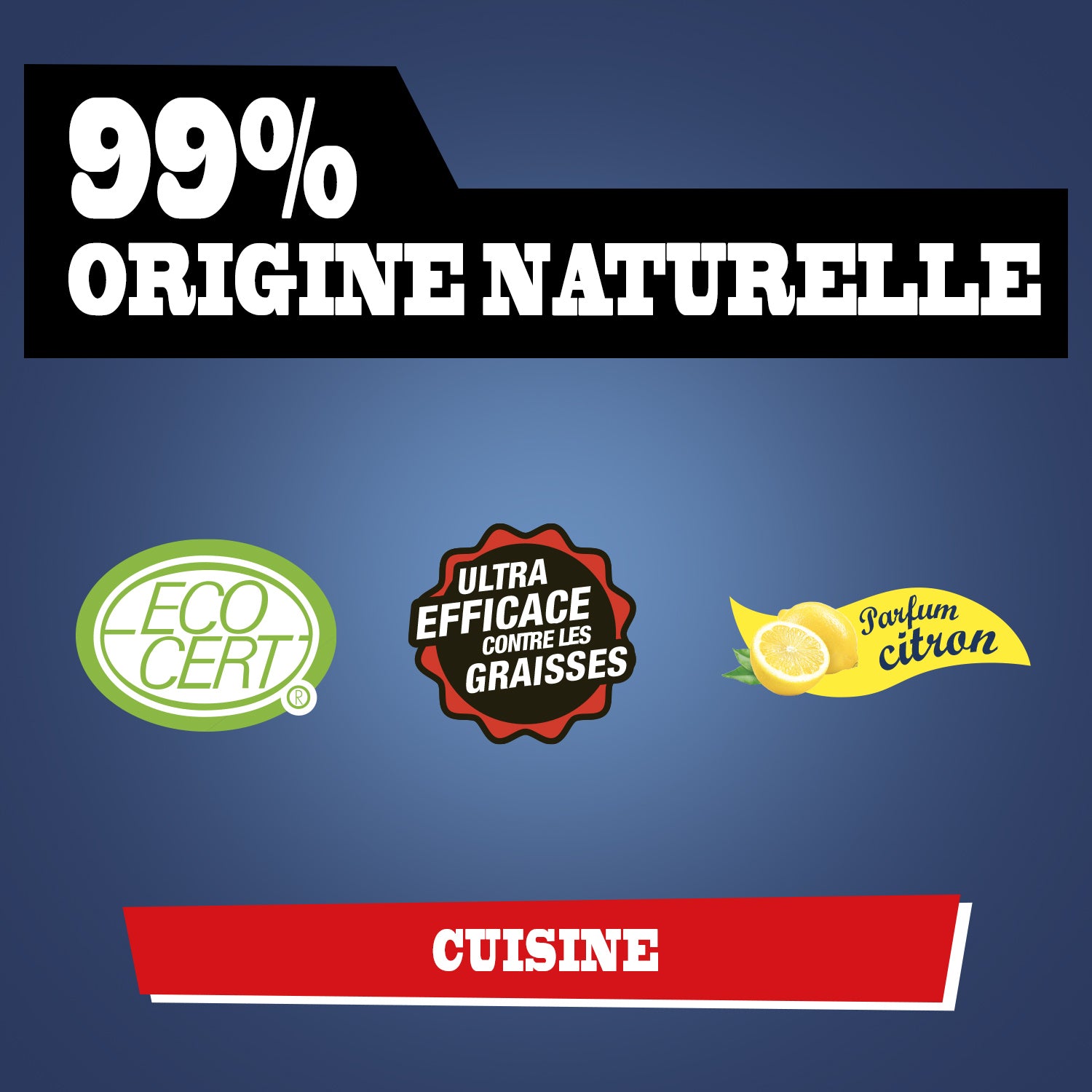 JACQUES BRIOCHIN - Super Décapant Cuisine Ultra efficace 1L 1L