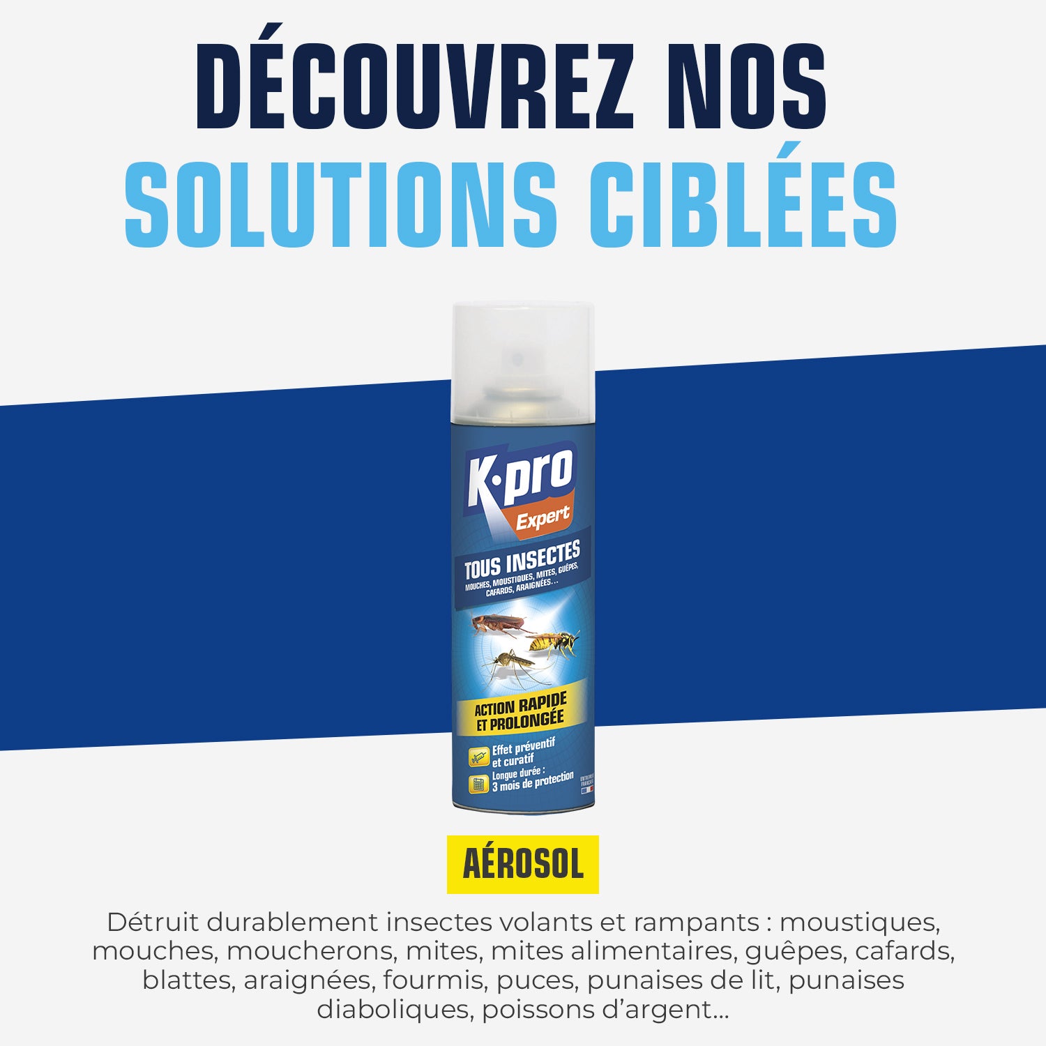 K.PRO - Aérosol tous insectes
 300 ml
