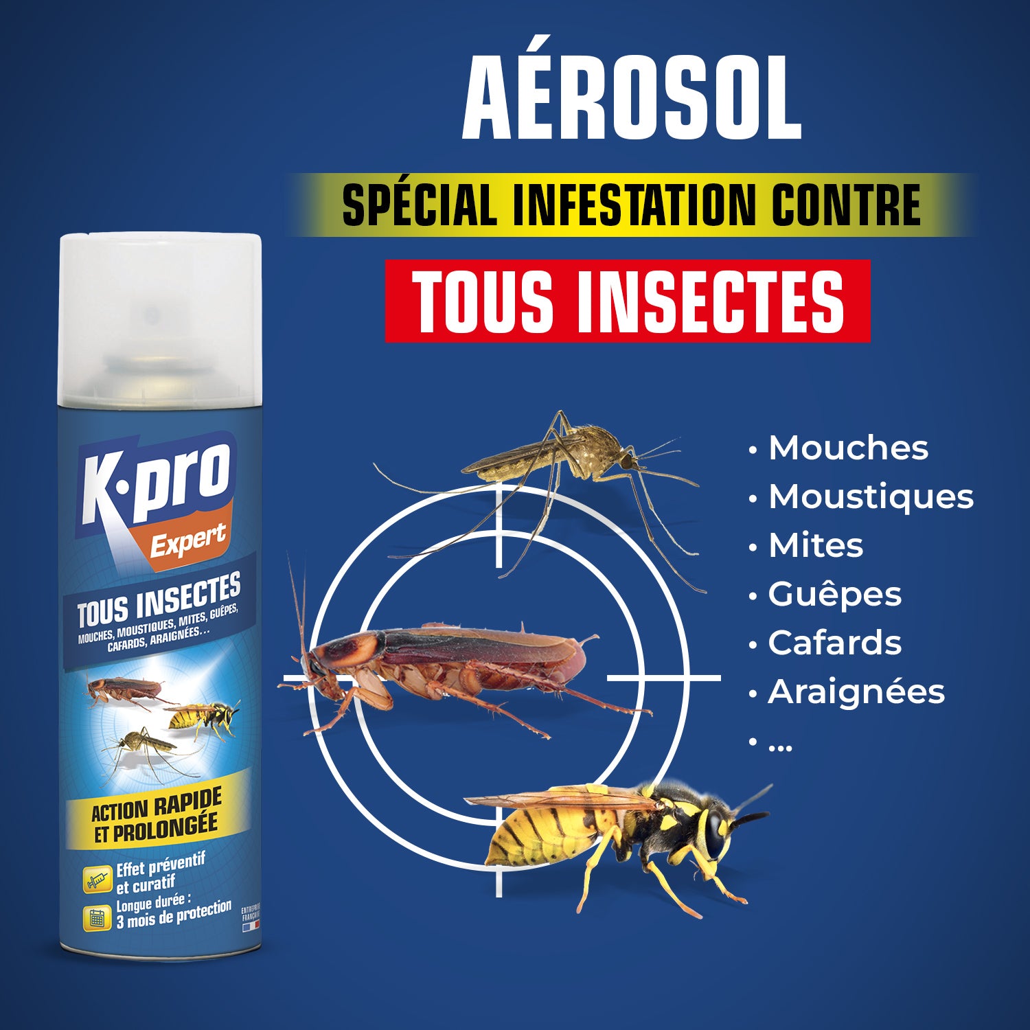 K.PRO - Aérosol tous insectes
 300 ml