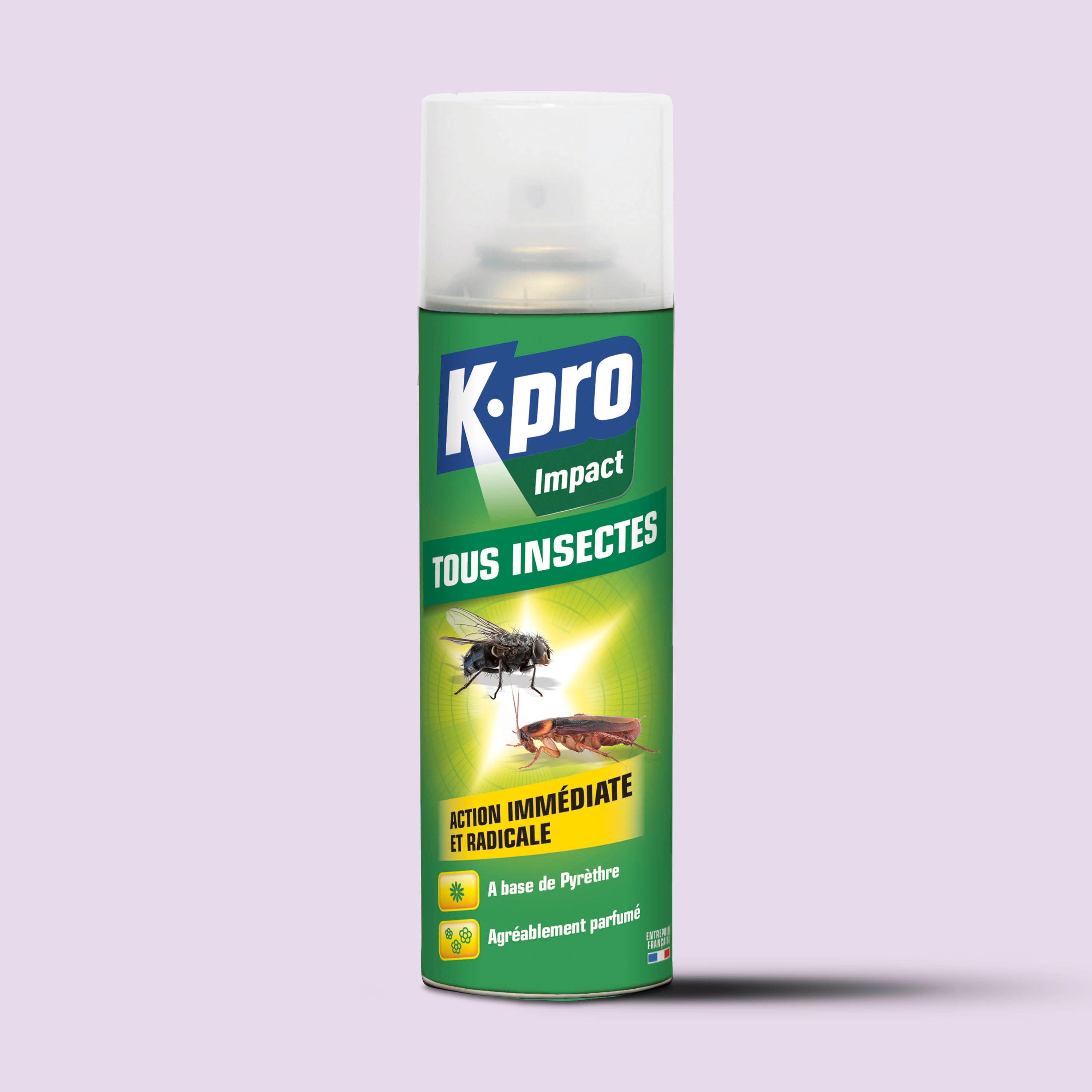 K.PRO - Aérosol tous insectes K.PRO 300ml