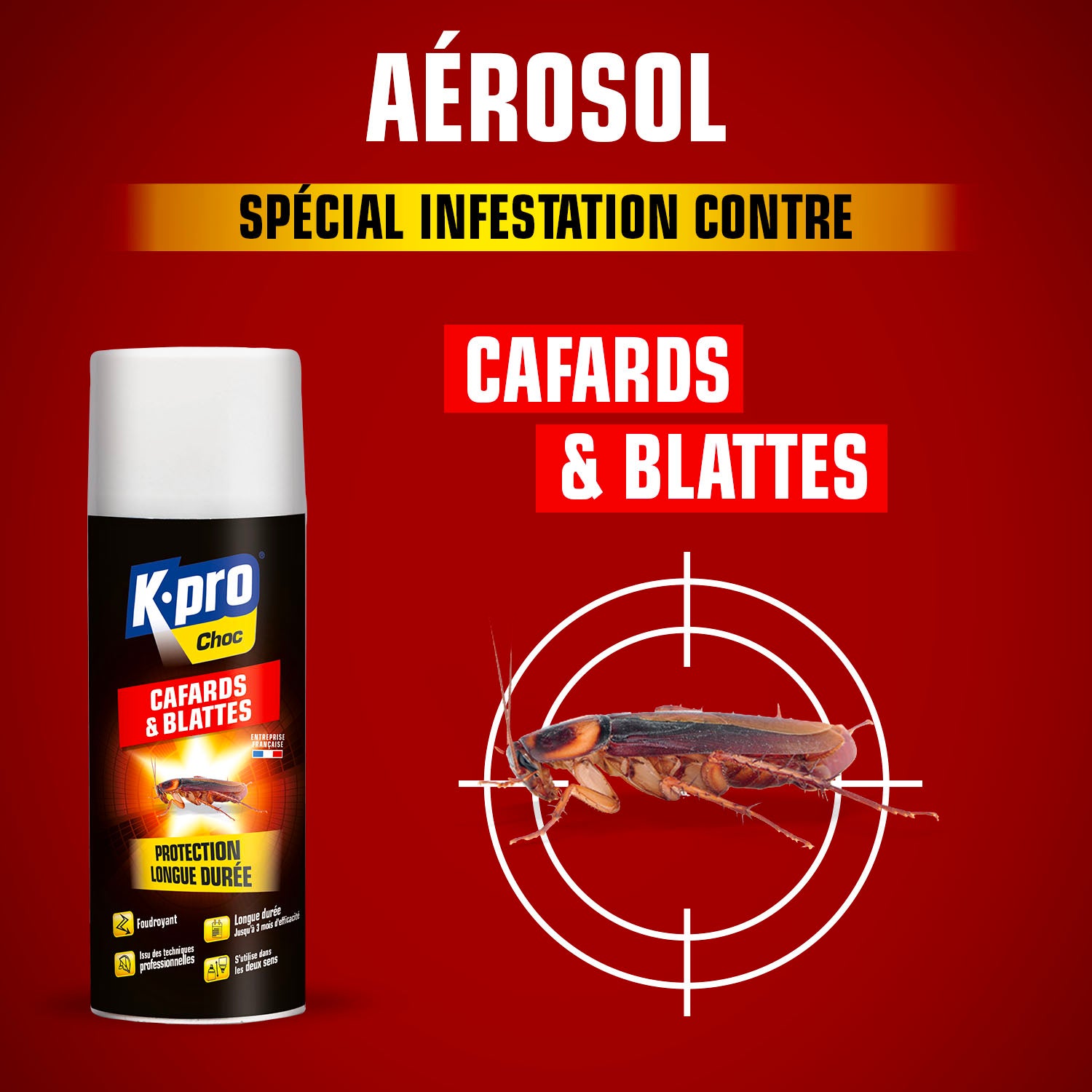K.PRO - Aérosol foudroyant cafards et blattes
 400ml