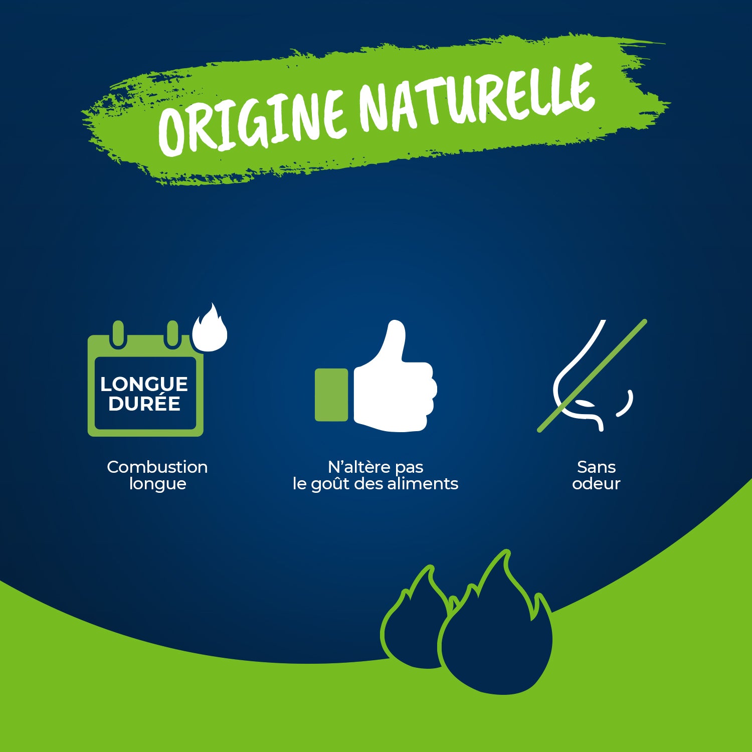 HARRIS - Gel allume feu naturel 850ml couleur : transparent