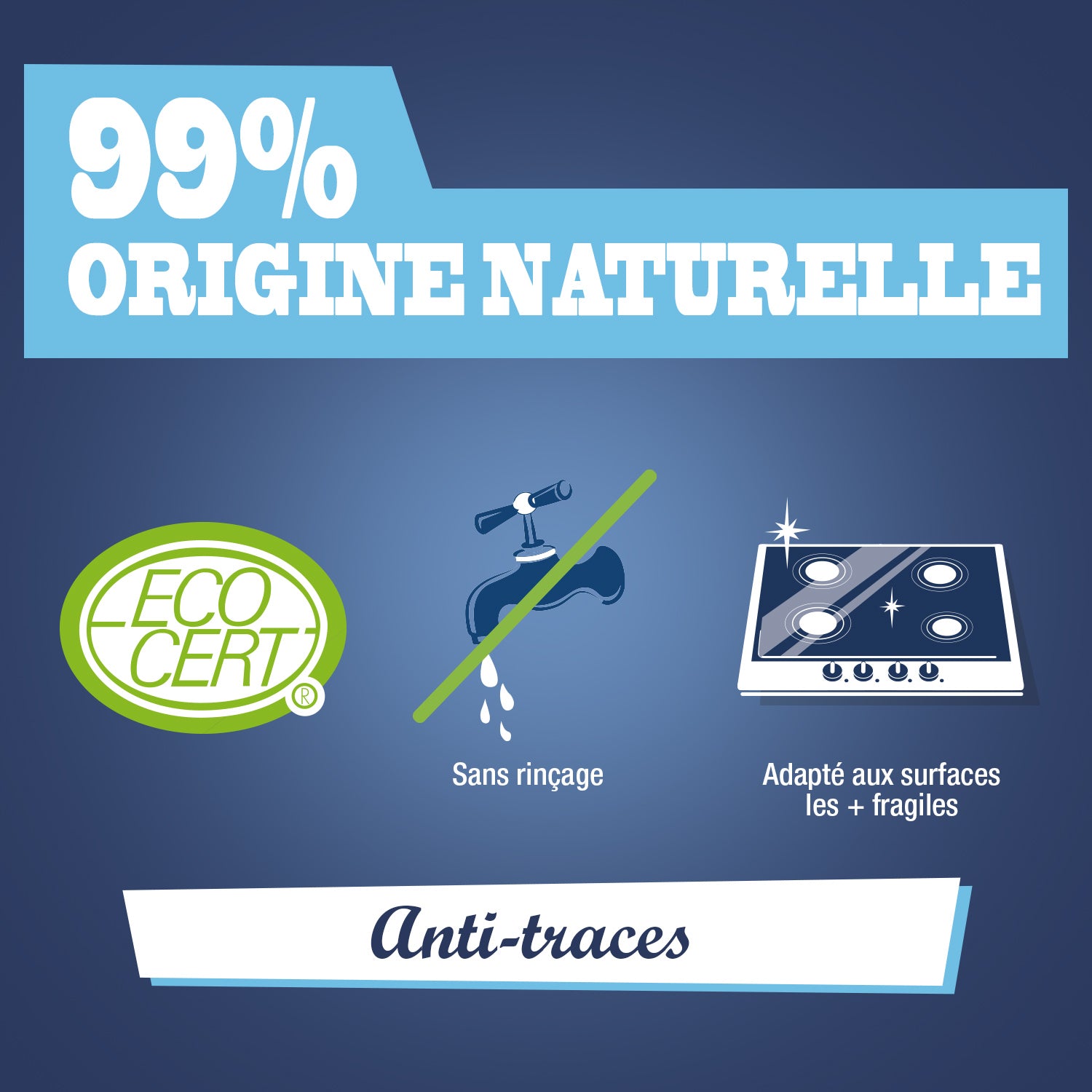 JACQUES BRIOCHIN - Nettoyant universel anti-traces prêt à l'emploi 1L 1L