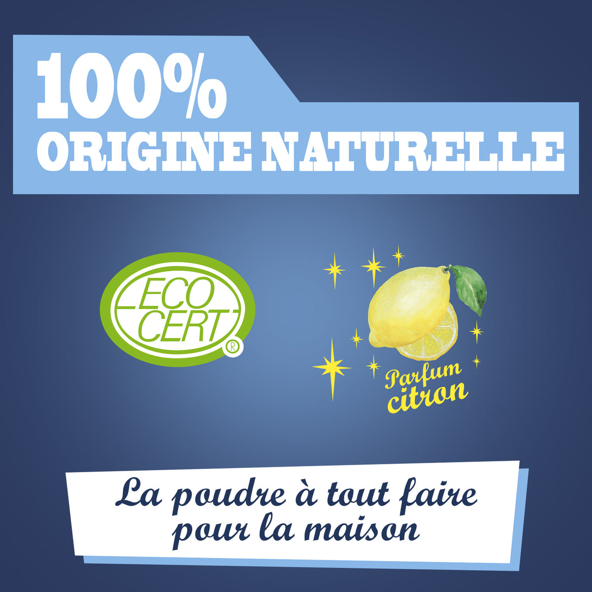 JACQUES BRIOCHIN - Le Bicarbonate de soude parfumé 500g Citron