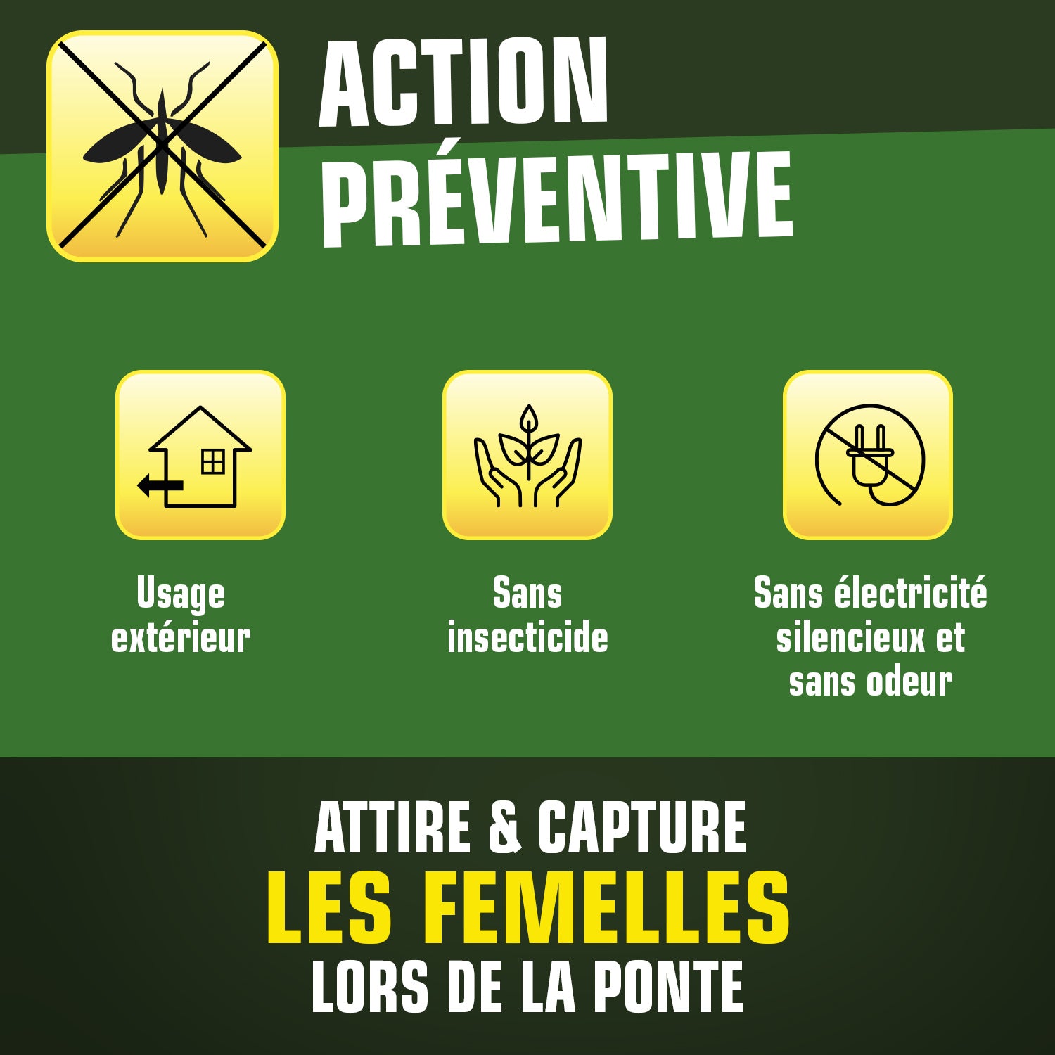 K.PRO - Pack de 2 Pièges anti-ponte moustiques communs et tigres  + 10 adhésifs 2 Pièges + 10 adhésifs