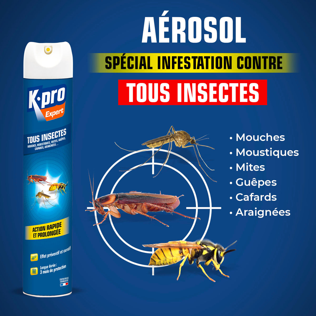 K.PRO - Aérosol tous insectes
 300 ml