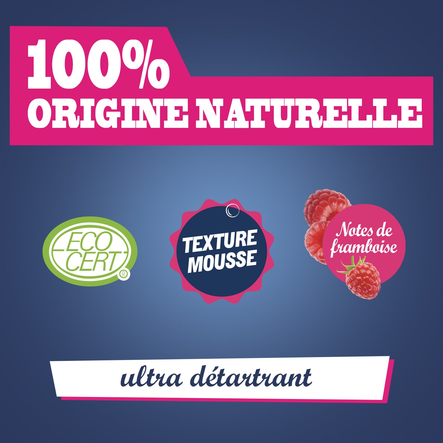 JACQUES BRIOCHIN - Mousse détartrante au vinaigre et à l'acide citrique 750ml Framboise
