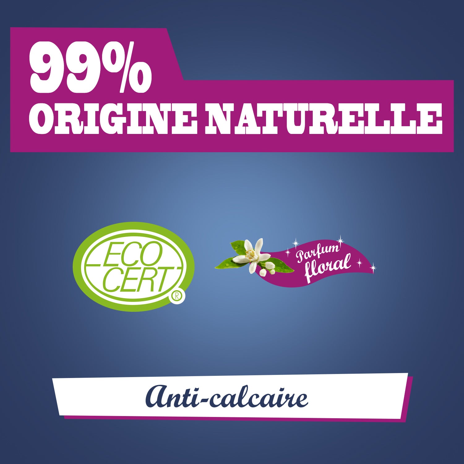 JACQUES BRIOCHIN - Nettoyant salle de bain 3 en 1 parfum floral 1L Parfum floral